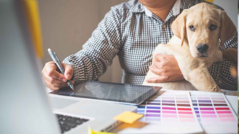 Junior Graphic Designer 